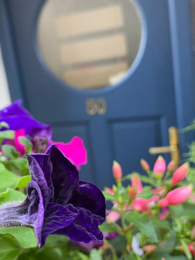 Summer Cottage In Kinsale Esterno foto